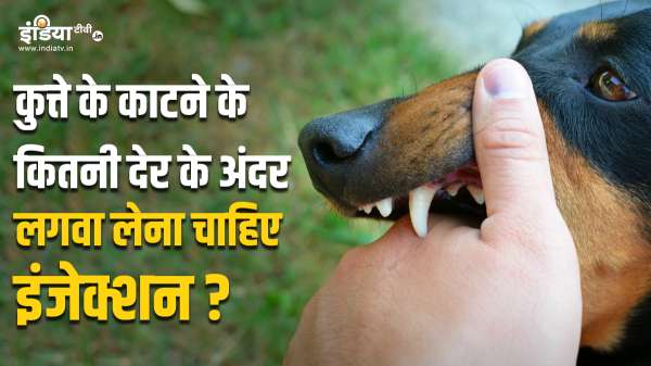 कुत्ते के काटने के कितने घंटे के अंदर लगवा लेना चाहिए इंजेक्शन, न करें लापरवाही TODAY TOP NEWS